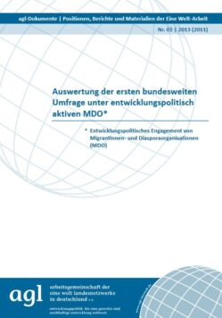 agl-Dokumente Nr. 01: Auswertung der ersten bundesweiten Umfrage unter entwicklungspolitisch aktiven MDO